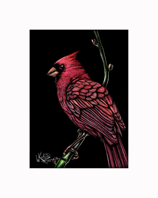 Red Cardinal - Print